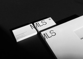 atelier_maeve_sandro-weber