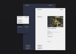 atelier_maeve_sandro-weber 