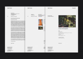 atelier_maeve_sandro-weber 