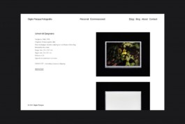 atelier_maeve_sandro-weber 