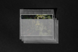 atelier_maeve_sandro-weber 